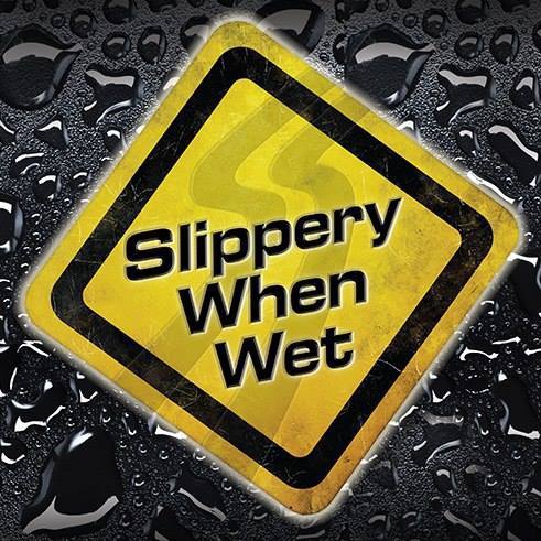 wet and wild 9 slippery when wet