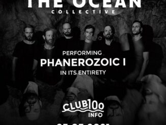 The Ocean Collective