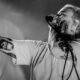 IDLES_Riverstage Brisbane_180125 (13)